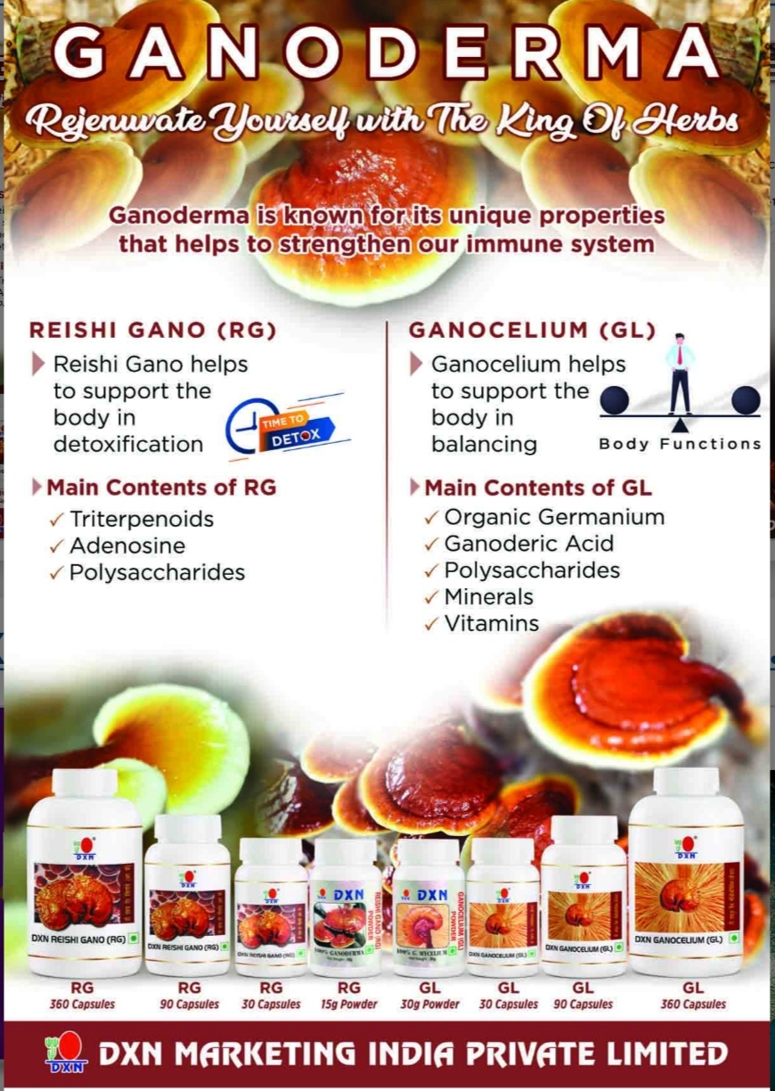 Ganoderma